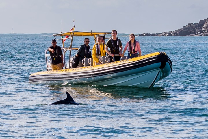 Noosa Oeanrider Dolphin Watch Tours