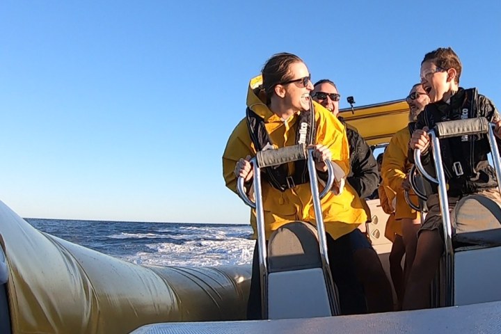 Noosa Speed Boat Adventures
