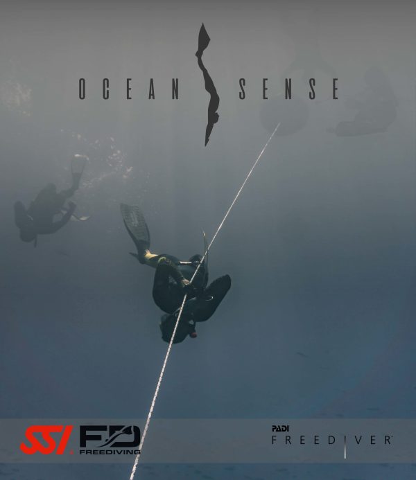 a bird flying in the air